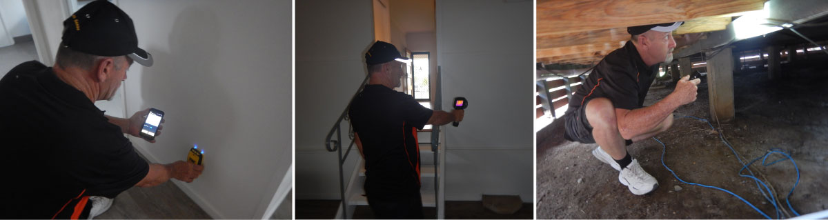 Focus-Building-Inspections-Pest-Management