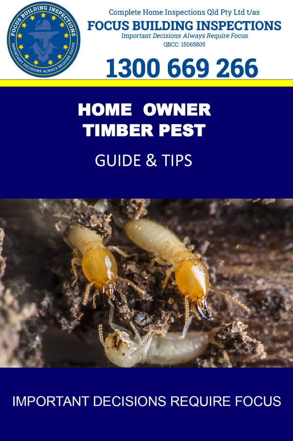 Screen-Shot-2021-03-10-at-1.39.38-pm